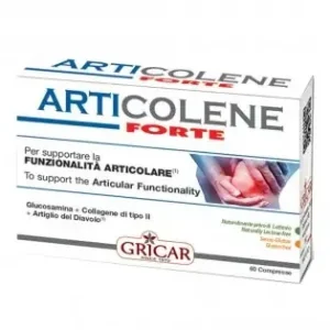 ARTICOLENE FT INTEGRAT 60TAV